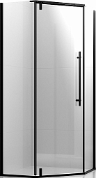 Душевое ограждение Ambassador Ritz 112011203 (Niagara Premium)