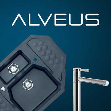 Alveus