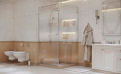 Душевое ограждение Ambassador Abner 10011102L (Niagara Premium)