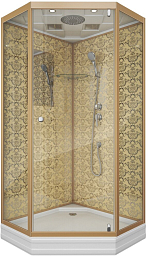 Душевая кабина Niagara NG-7702DG